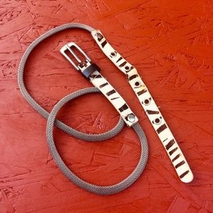 Zebra Coil Belt M/L